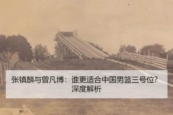 zhang-zhen-lin-yu-ceng-fan-bo-shui-geng-shi-he-zhong-guo-nan-lan-san-hao-wei-shen-du-jie-xi-3-615.jpg